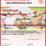 Juryrapport Dutch Business Intelligence Award 2013
